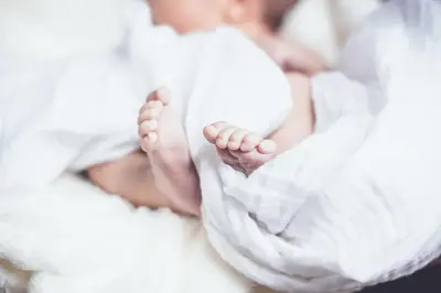 Best Blankets 2026: Cozy Throws for Ultimate Comfort