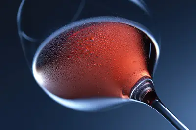 Best Wine 2026: From Everyday Sips to Special Occasions